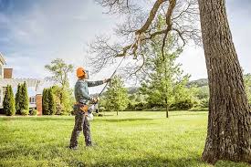 Best Tree Preservation Services  in Santa Clarita, CA